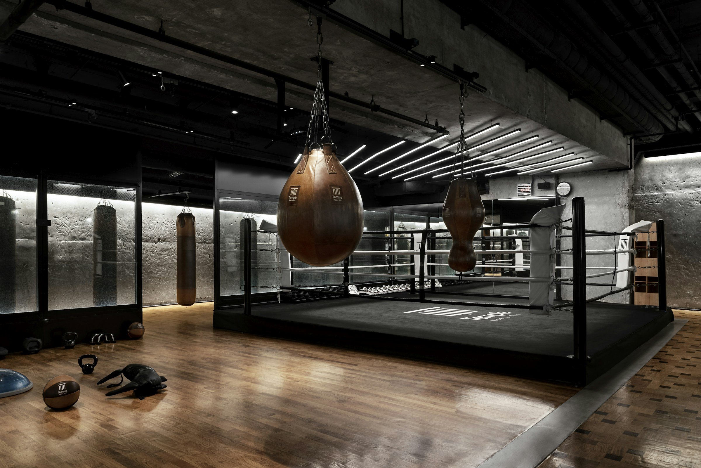 A dark boxing gym with leather heavy bags hanging above an empty ring.